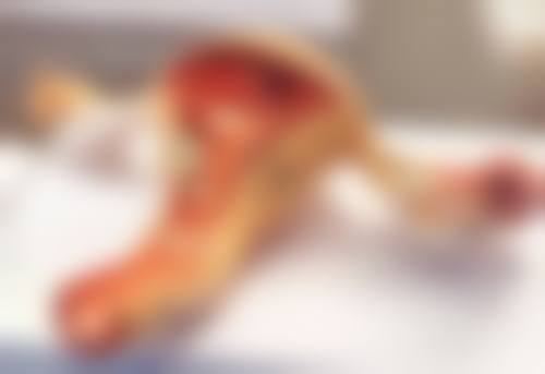 广州星途医疗美容基本信息