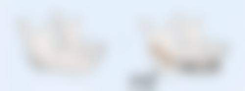 个体差异对毛囊存活时间有什么影响？