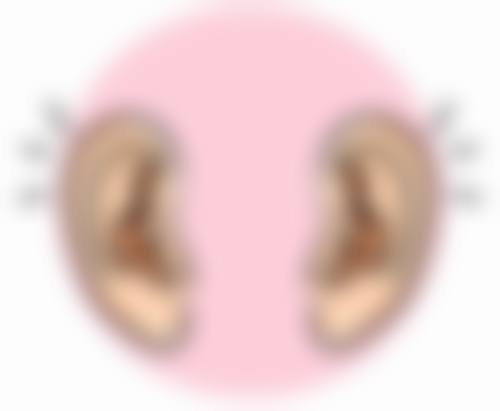 抚顺博爱整形医疗美容医院基本信息