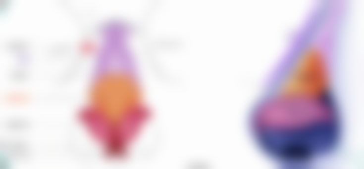 重庆军美医疗美容医院医生介绍