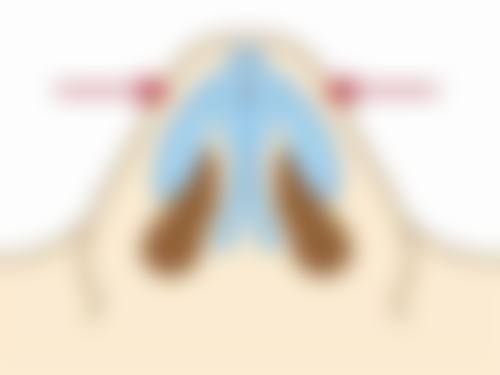 沧州市第二人民医院美容整形科基本信息