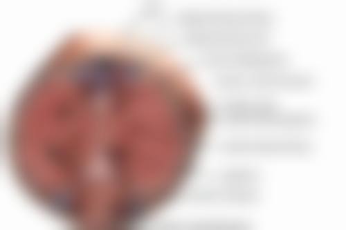 南宁艾美医疗美容门诊部凌宏量医生达拉斯综合隆鼻技术怎么样?