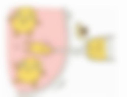 有没有因为草药灼伤皮肤导致留疤的实际实例呢?