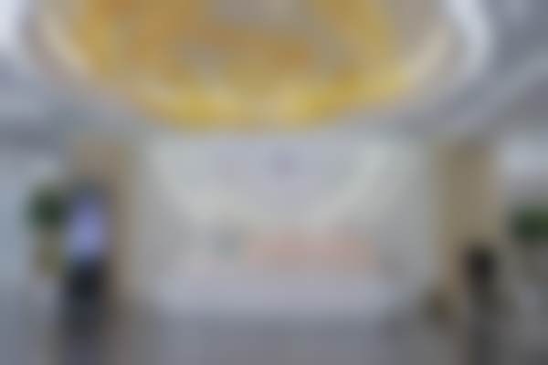 重庆军美医疗美容医院龙燕玲医生擅长项目