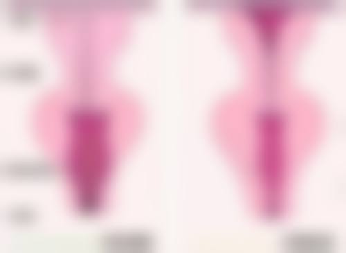 贞韩整形美容医院基本信息