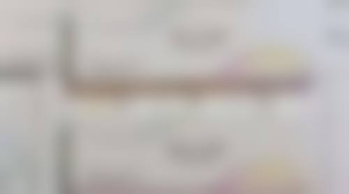 韩国瑞姿整形医院歇业基本信息