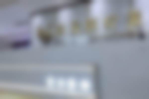 怀化鹤城宸美医疗美容诊所医生介绍