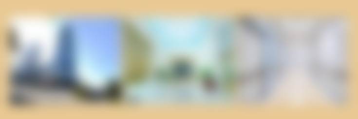 重庆星荣整形外科医院朱晓燕医生擅长项目