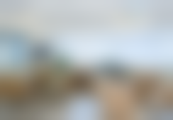 重庆星荣整形外科医院李正勇医生预约挂号指南