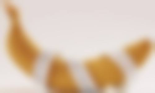 刘晓瑾医生对于不同情况的修复条件是怎样的？