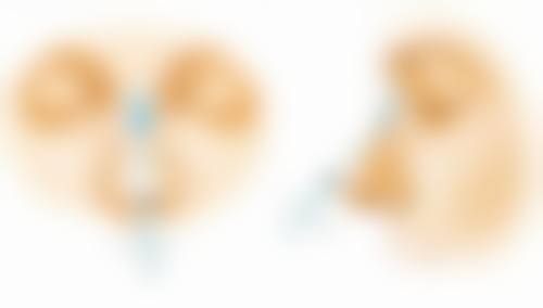 王小彦医生的修复分级和费用是怎样的？