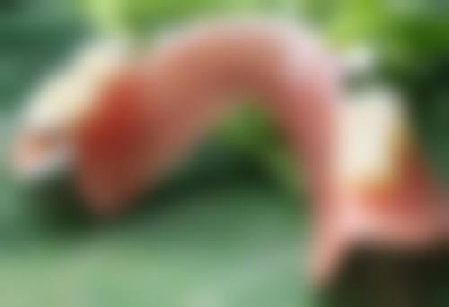 深圳黛颜医疗美容怎么预约