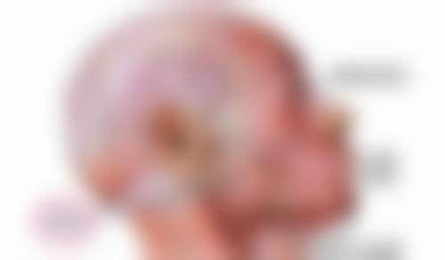 北京大学国内外医院整形美容科陈织医生预约挂号指南