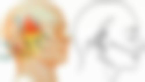 那做完双眼皮适合吃什么呢？