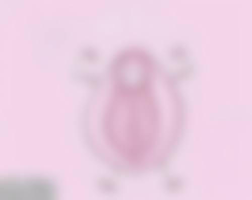 南京薇格医疗美容诊所正规吗?