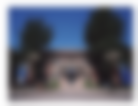 国内医学科学 院整形外科医院（北京八大处）臧梦青医生擅长项目