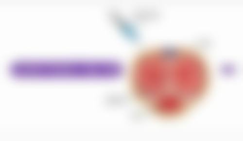 龙岩华美医疗美容医院医生介绍