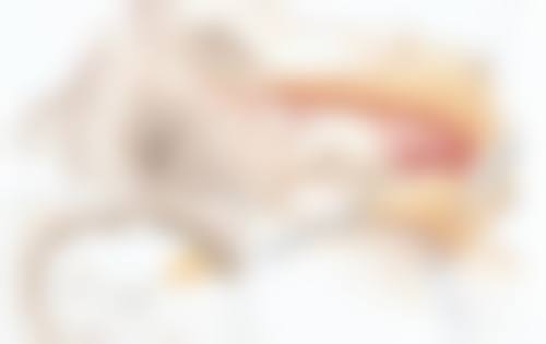 生理性不对称该如何处理?