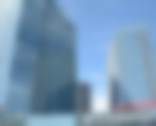 北京禾美嘉医疗美容门诊部李梦莹的亮眼排名