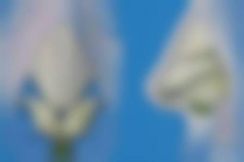 双眼皮小综合核心包含项目有哪些？