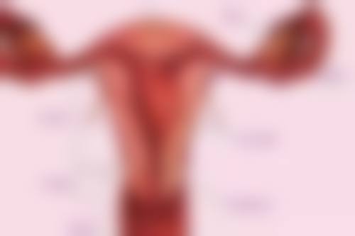 植发后成效多久能显现？