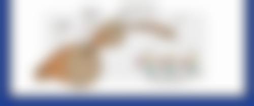 眼部吸脂手术会引发神经功能障碍吗？