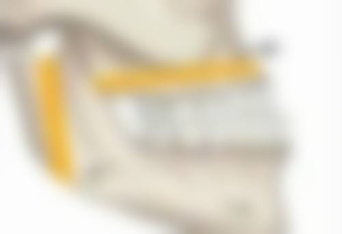 深圳流花医院整形美容科黄雪林医生收费价格：