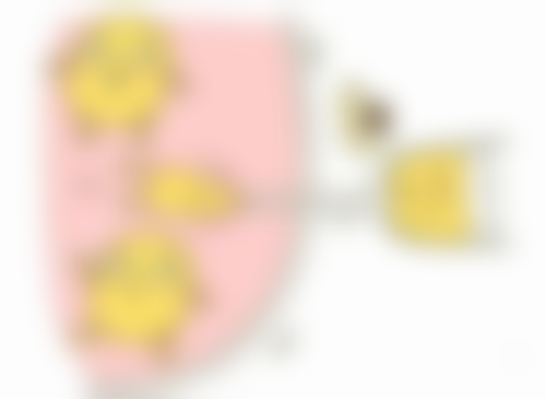 川口Skin Labo正规吗？