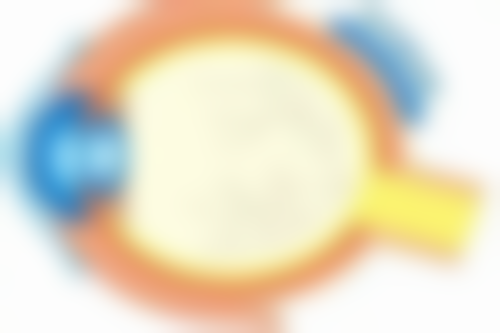 重庆美媛臣医疗美容门诊部黄咏胜医生擅长项目