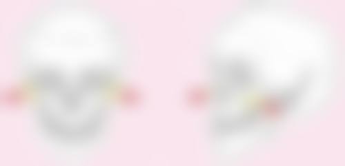 台州温岭芘丽芙整形美容医院谢中奎医生擅长项目