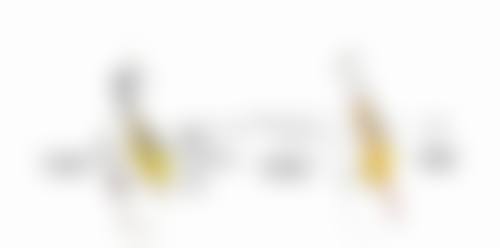 温州德升整形医院正规吗？