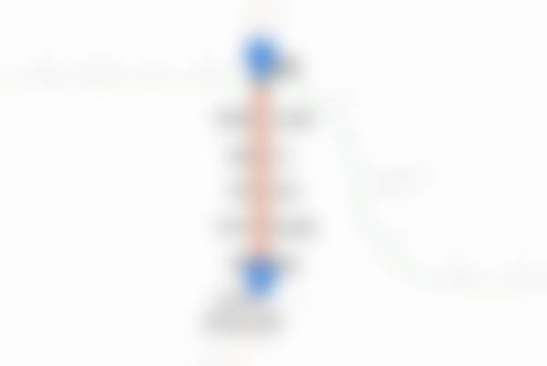 {金大谦（大田院）