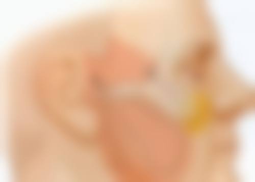 既然腰果对术后修复有益，那是不是可以多吃呢？