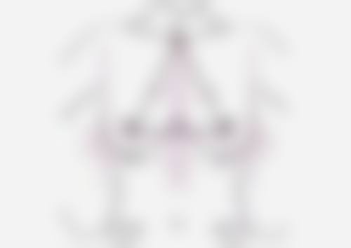 洛阳孔繁荣医疗整形美容医院怎么预约