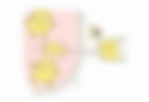 玻尿酸除皱适用于哪些注射部位？