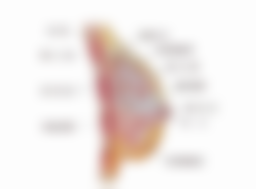 术后外观受哪些因素影响？