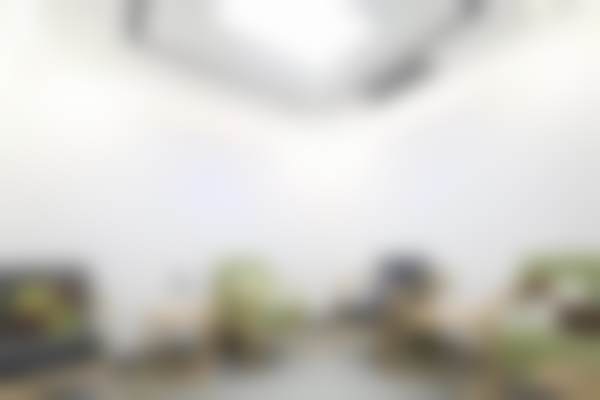 北京联合丽格第二医疗美容医院马洪涛医生收费价格