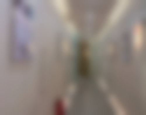 蔡茂元