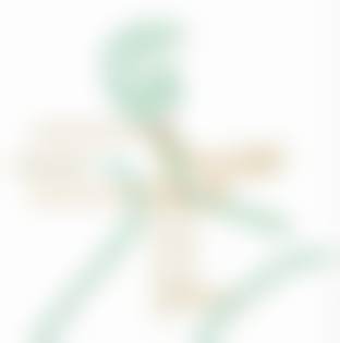 北京圣嘉新医疗美容医院自体脂肪隆胸有哪些技术优势？