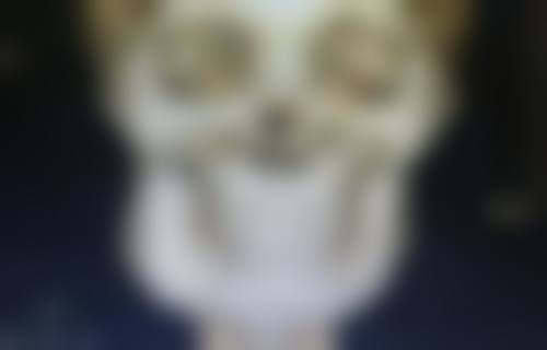 上海易美医疗美容门诊部基本信息