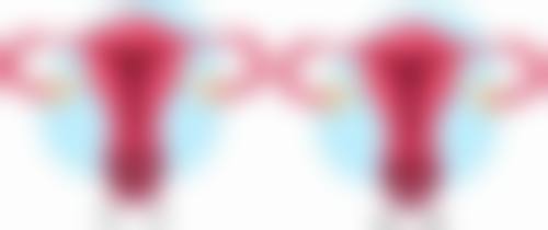 富含维生素E及脂溶性营养的食物对疤痕修复有什么作用?