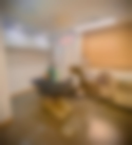 总结
