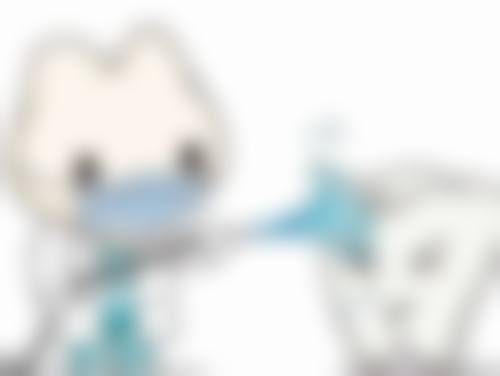 价格透明与预约方式