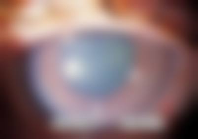 常见问题解答 (FAQ)