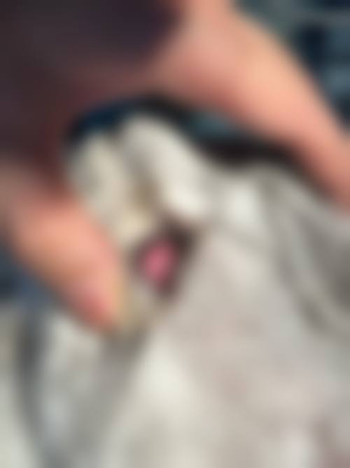 医院资质与实力