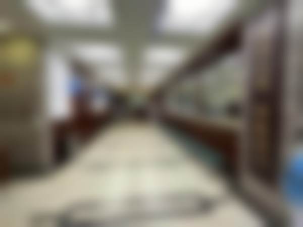 河南省儿童医院眼科（郑州儿童医院眼科）河南省儿童 医院