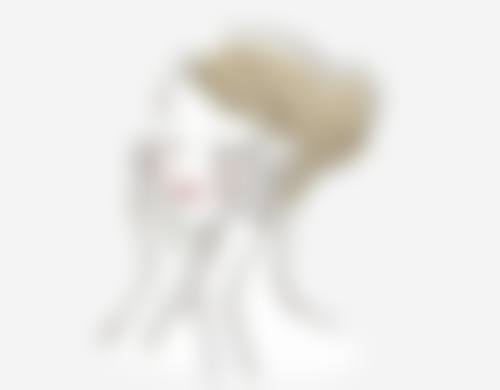 湖北襄阳辰美整形美容基本信息
