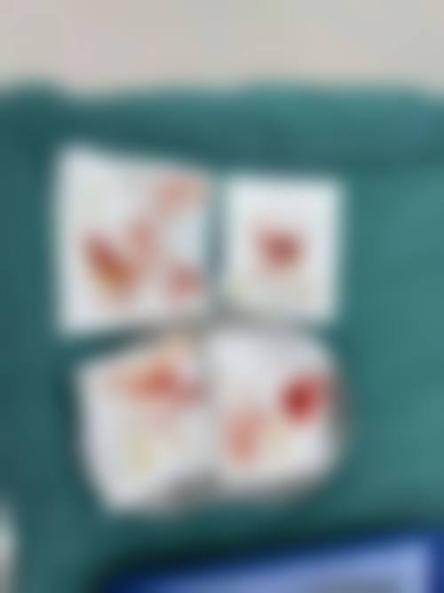 项目价格与优惠活动:透明合理,高性价比