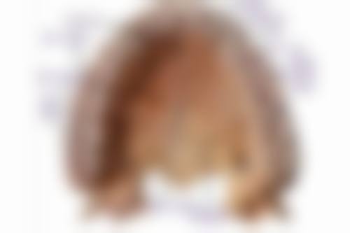 设备环境介绍：精良设备保护诊疗成效