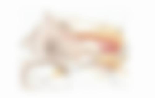 吉安市韩美美容医疗门诊部是一家怎样的医院呢?